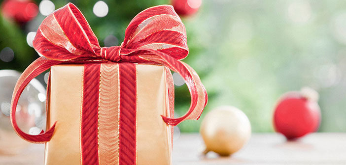 Christmas Delights – The Best WordPress Deals For New Year 2017