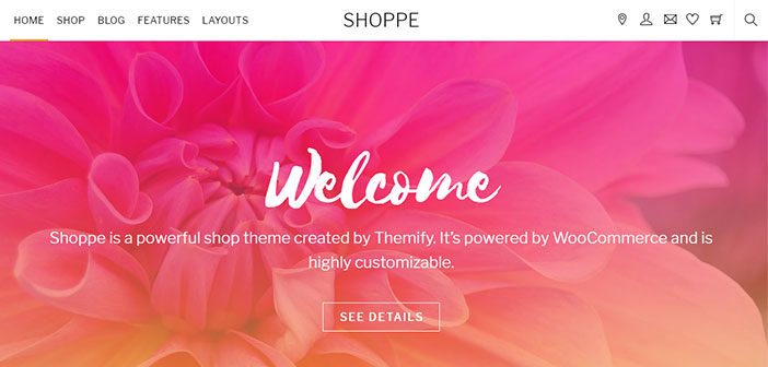 Shoppe – A Beautiful Multipurpose WooCommerce WordPress Theme