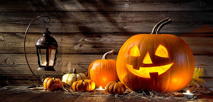 Best Halloween WordPress Deals 2017 – Amazing Discounts and Coupons