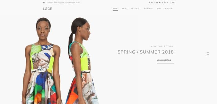 Loge – The Perfect WooCommerce Theme for Retailers